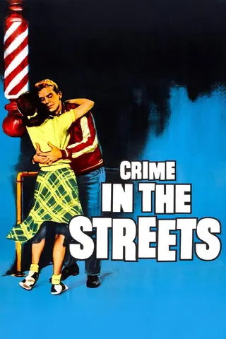 Görsel: TMDB Crime in the Streets afişi