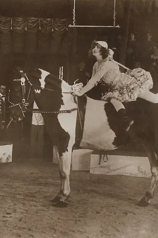 Crown and Whip afişi