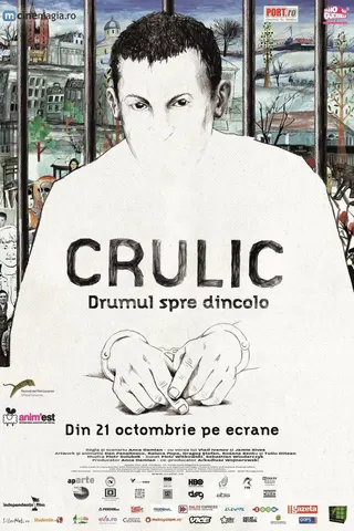 Crulic: The Path to Beyond afişi