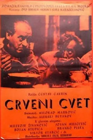 Crveni cvet afişi