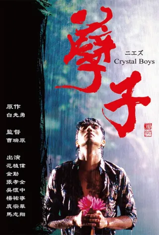 Görsel: TMDB Crystal Boys afişi