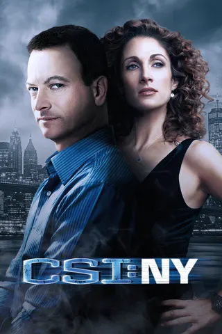 CSI: NY afişi