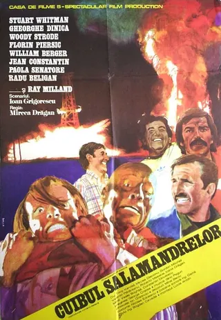 Cuibul salamandrelor afişi