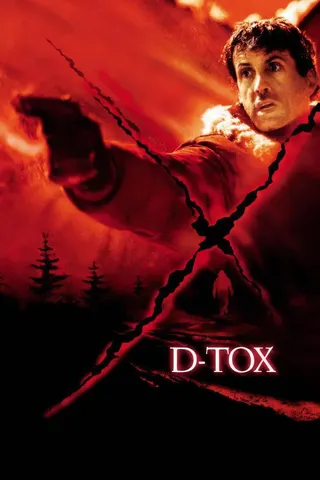 D-Tox afişi