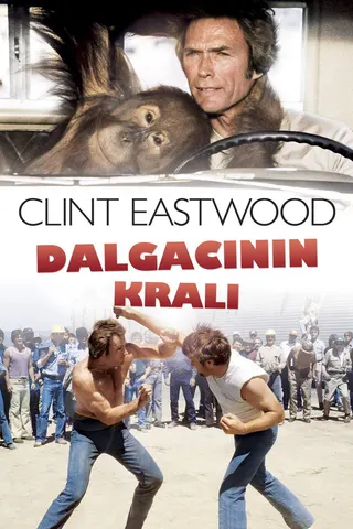 Görsel: TMDB Dalgacının Kralı afişi