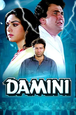Görsel: TMDB Damini afişi