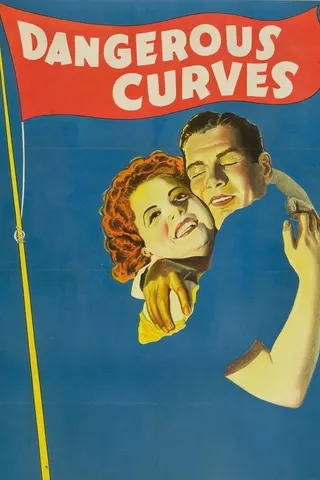 Görsel: TMDB Dangerous Curves afişi