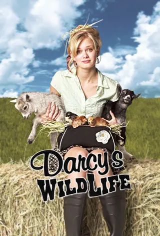 Görsel: TMDB Darcy's Wild Life afişi