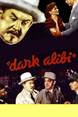 Görsel: TMDB Dark Alibi afişi