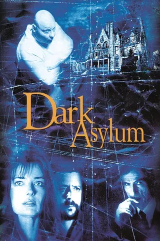 Görsel: TMDB Dark Asylum afişi