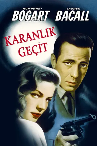 Dark Passage afişi