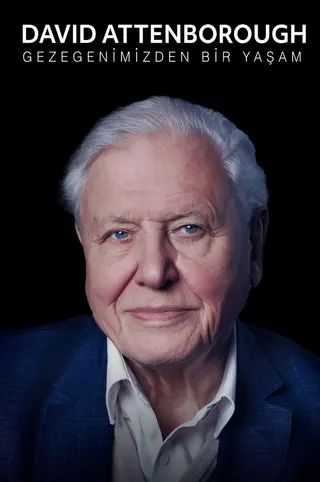 David Attenborough: A Life on Our Planet afişi