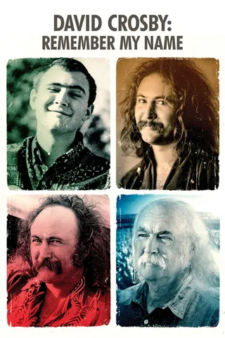Görsel: TMDB David Crosby: Remember My Name afişi