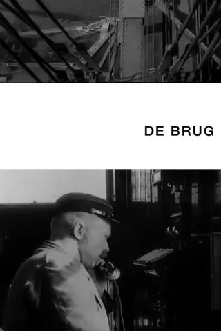 Görsel: TMDB De brug afişi