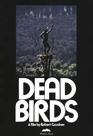 Görsel: TMDB Dead Birds afişi