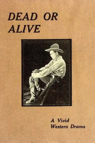 Dead or Alive afişi
