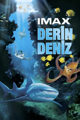 Deep Sea 3D afişi