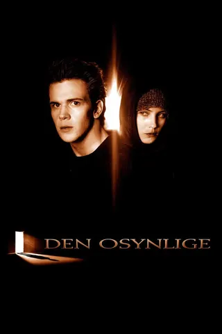Den osynlige afişi