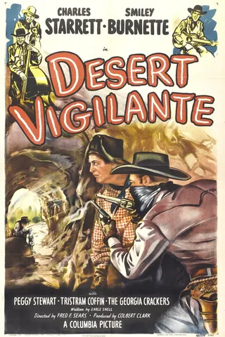 Görsel: TMDB Desert Vigilante afişi