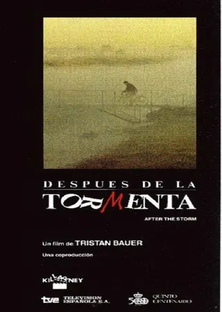 Después de la tormenta afişi