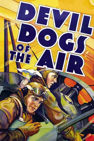 Devil Dogs of the Air afişi