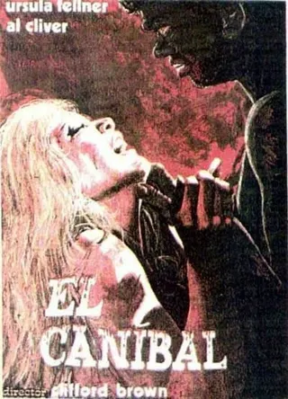 Görsel: TMDB Devil Hunter afişi