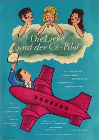 Görsel: TMDB Die Liebe und der Co-Pilot afişi