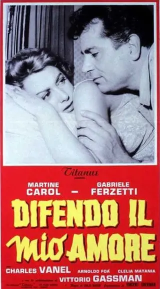 Görsel: TMDB Difendo il mio amore afişi