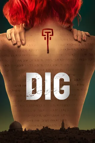 Dig afişi