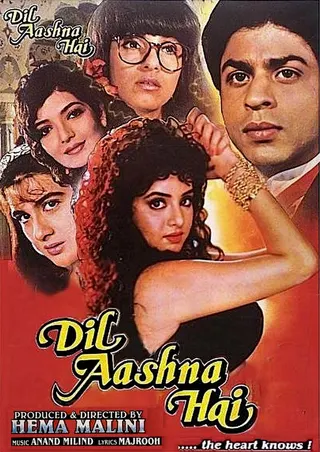 Dil Aashna Hai afişi