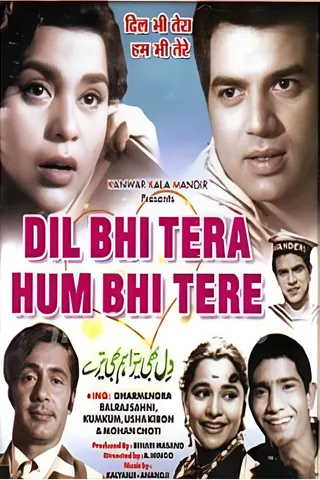 Görsel: TMDB Dil Bhi Tera Hum Bhi Tere afişi