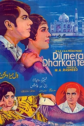Görsel: TMDB Dil Mera Dharkan Teri afişi