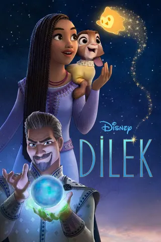 Görsel: TMDB Dilek afişi