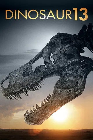 Görsel: TMDB Dinosaur 13 afişi