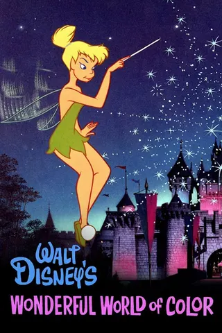 Disney anthology television series afişi