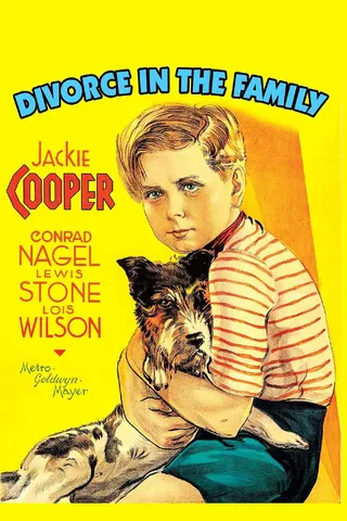 Divorce in the Family afişi