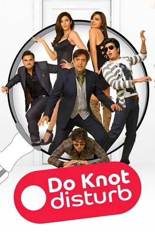 Görsel: TMDB Do Knot Disturb afişi
