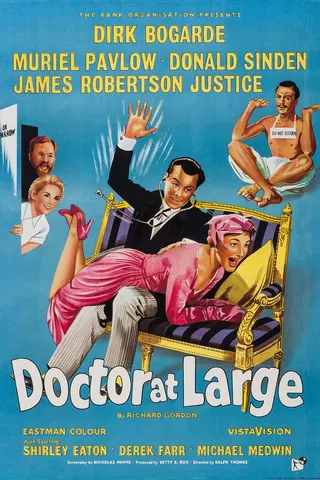 Görsel: TMDB Doctor at Large afişi