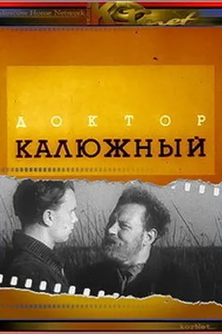 Doctor Kalyuzhnyy afişi