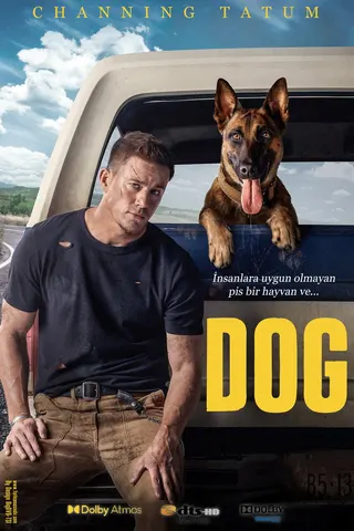 Dog afişi