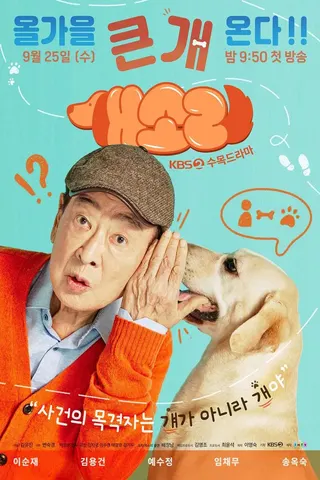 Görsel: TMDB Dog Knows Everything afişi