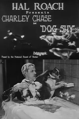 Görsel: TMDB Dog Shy afişi