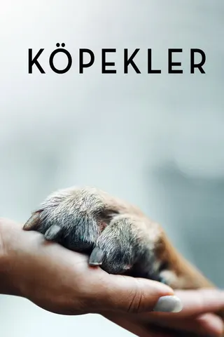 Görsel: TMDB Dogs afişi