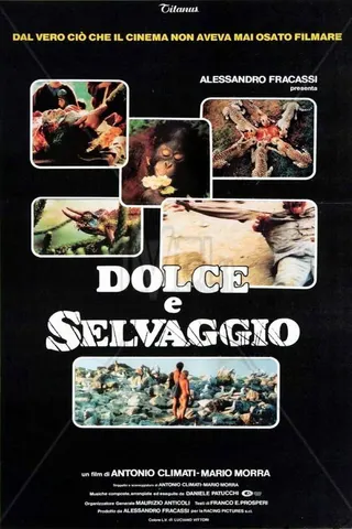 Görsel: TMDB Dolce e selvaggio afişi