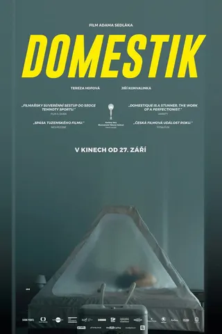 Görsel: TMDB Domestik afişi