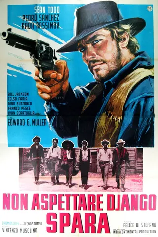 Görsel: TMDB Don't Wait, Django... Shoot! afişi