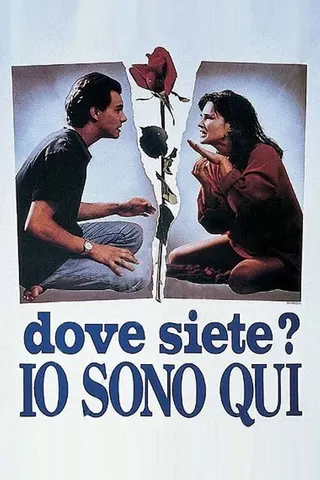 Görsel: TMDB Dove siete? Io sono qui afişi
