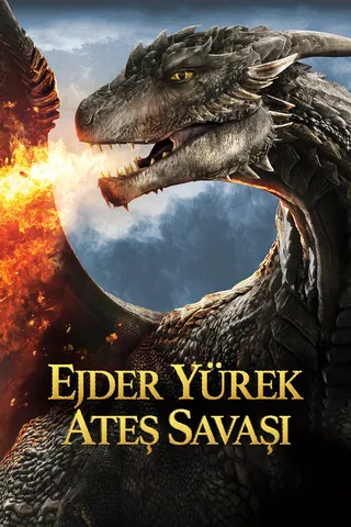 Görsel: TMDB Dragonheart: Battle for the Heartfire afişi
