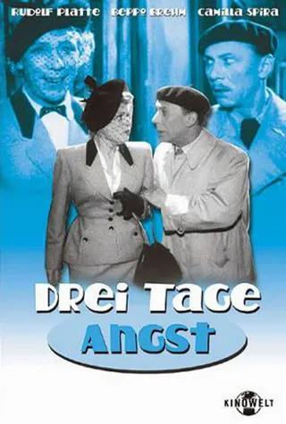 Drei Tage Angst afişi