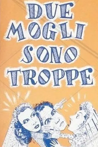 Görsel: TMDB Due mogli sono troppe afişi